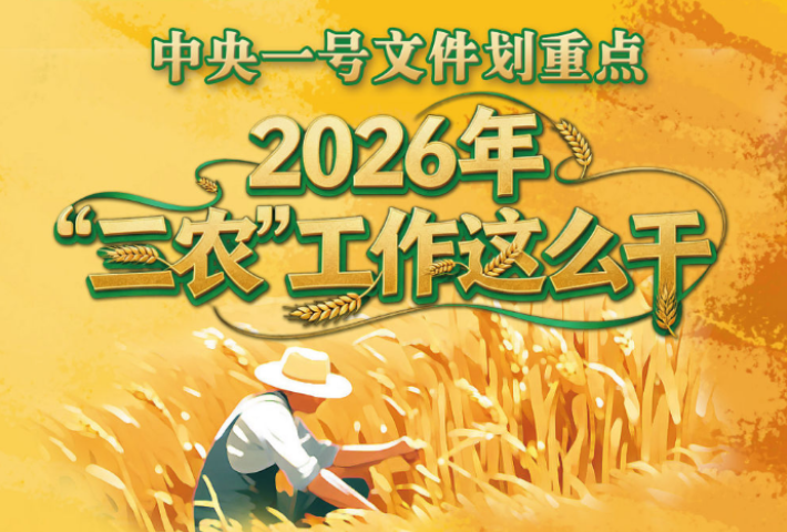 中央一号文件划重点，2026年“三农”工作这么干