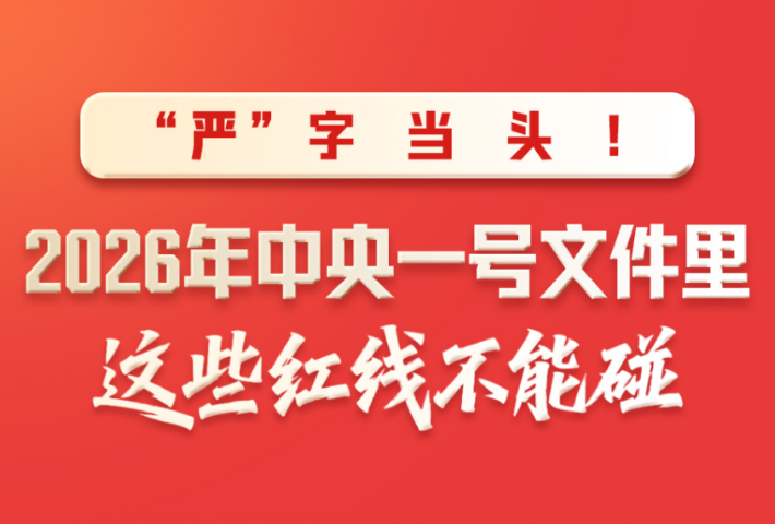 “严”字当头！2026年中央一号文件里这些红线不能碰