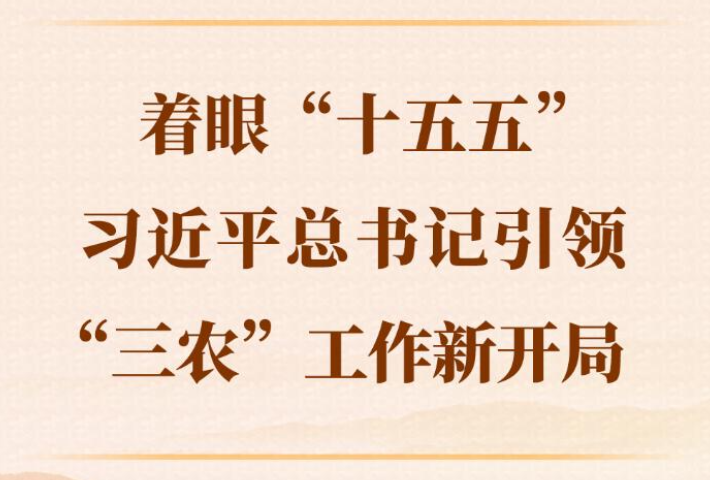 着眼“十五五”，习近平总书记引领“三农”工作新开局