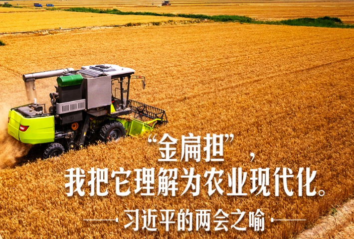 习近平的两会之喻｜“金扁担”，我把它理解为农业现代化