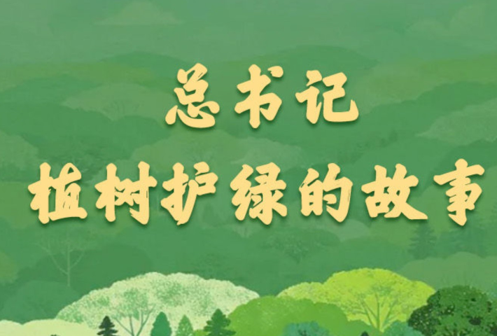 总书记植树护绿的故事