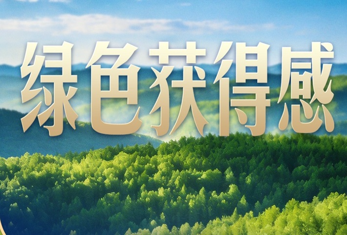 连续14年参加首都义务植树，总书记关切这件大事