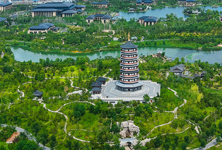 雄安新区拔节生长时间线